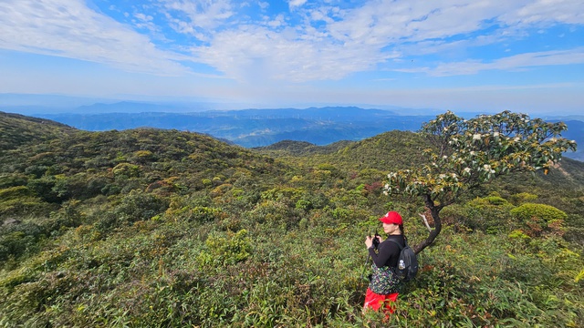 Quảng Trị có thêm tour du lịch trekking chinh phục đỉnh Voi Mẹp- Ảnh 4.