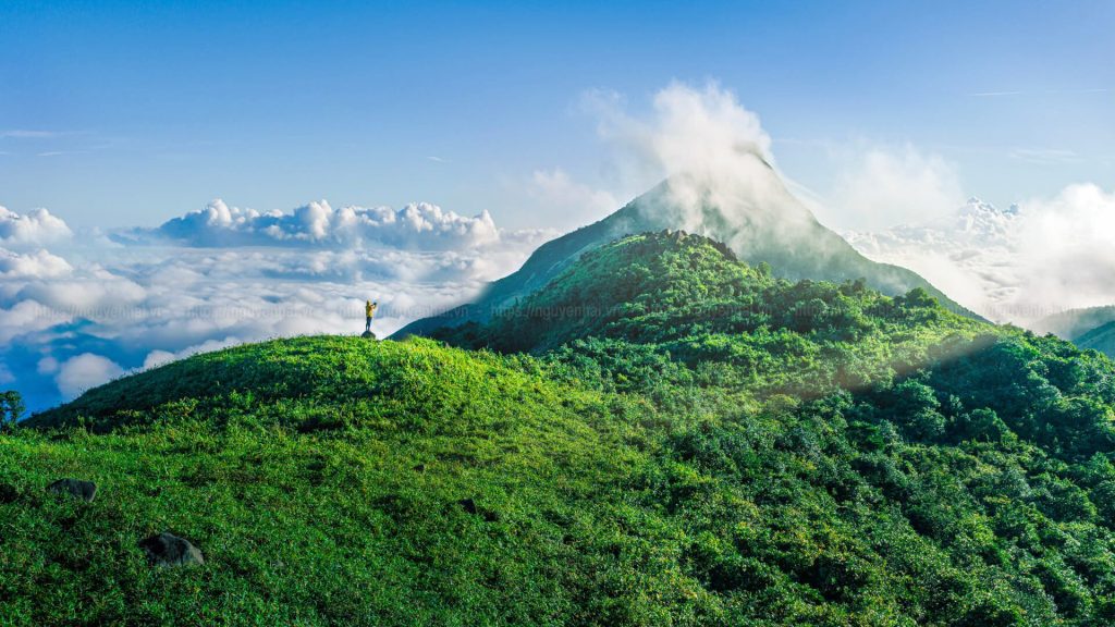 Đỉnh Pa Thiên Voi Mẹp