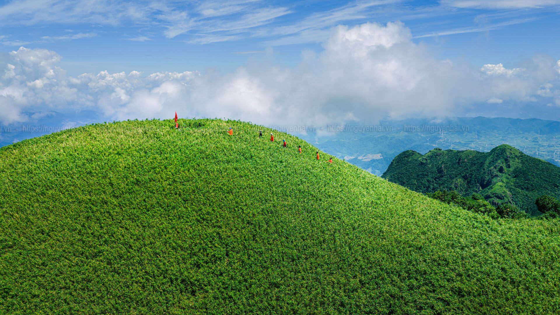 Đường lên đỉnh Voi Mẹp