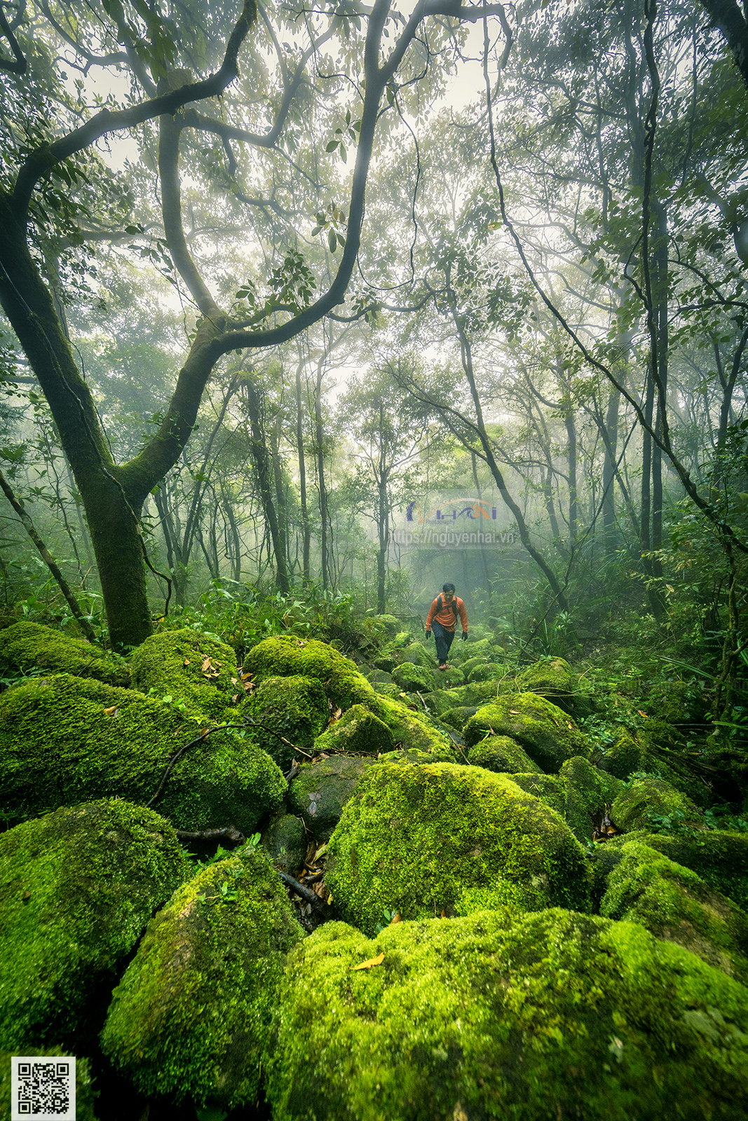 Trekking chinh phục Pa Thiên Voi Mẹp